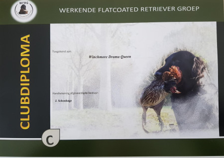 Afbeelding invoegen